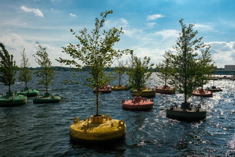 Transform Your Living Space: 10 Innovative Ways to Create an Eco-Friendly Home - House and Garden